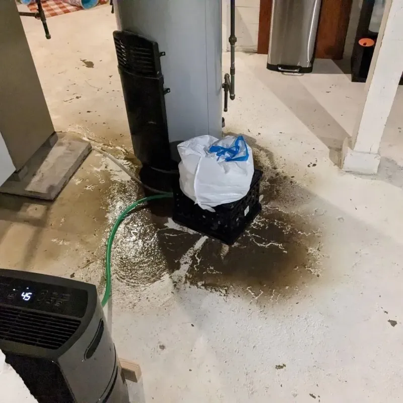 Sewage Backup Cleanup Service in Sierra Blanca, TX